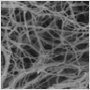 生物纳米纤维的示意图