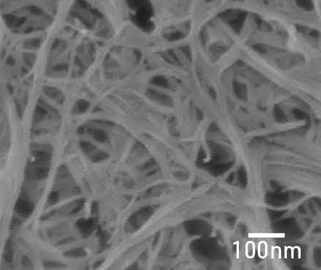 Biomass Nanofiber