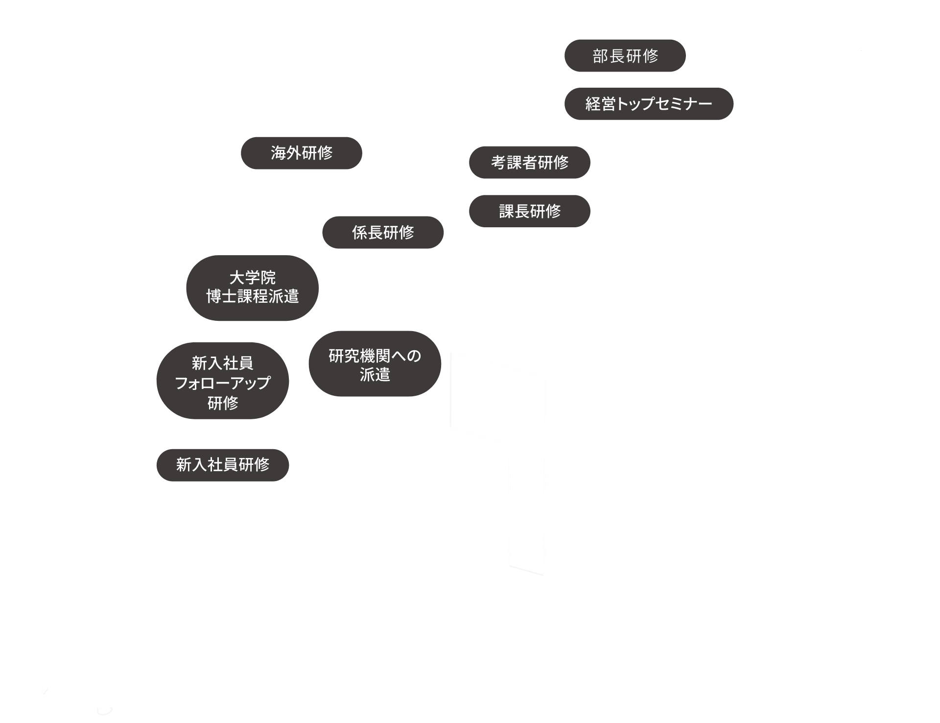 教育研修制度