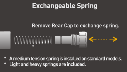 exchangeable spring