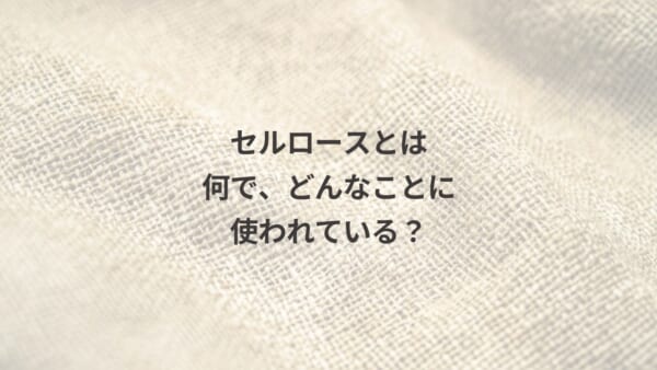 セルロース記事のアイキャッチ